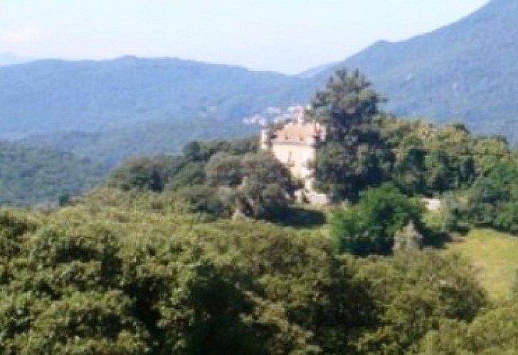 SANTA MARIA