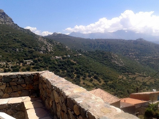 LE PATIO