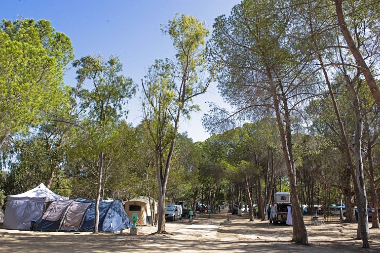 BELLA VISTA