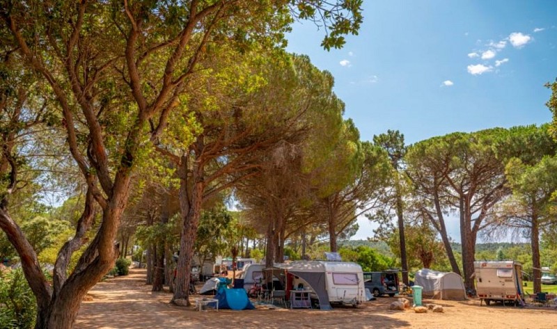 CAMP-California-2024---14---Petit-