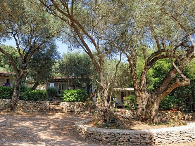 CAMPO DI LICCIA