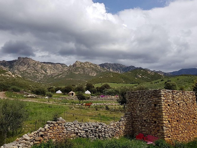 Camping à la ferme L'Ernaghju