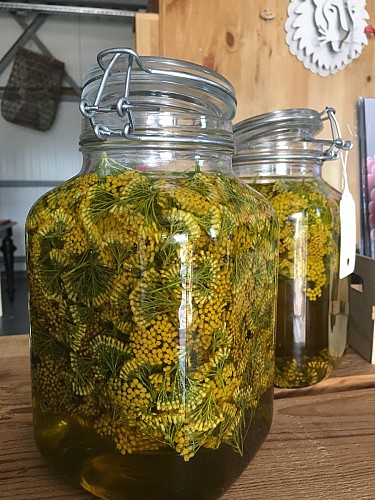 Camping à la ferme L'Ernaghju