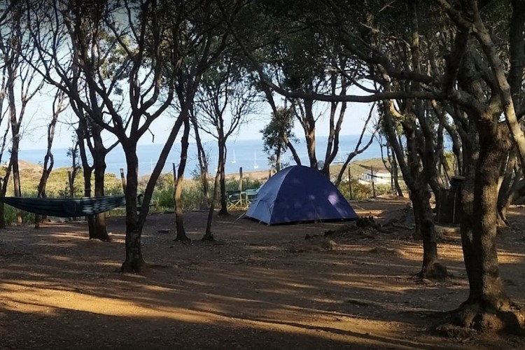 L'ISULOTTU