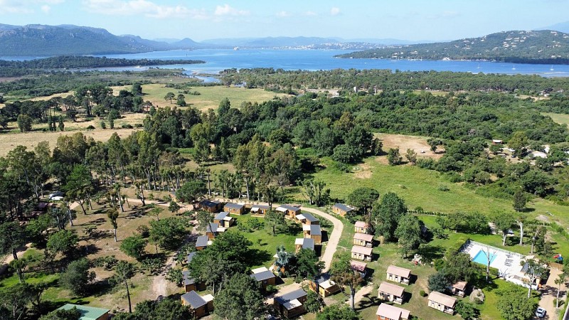 L'OSO