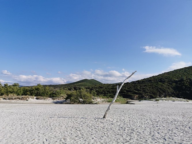 Village de L'Ostriconi - Camping