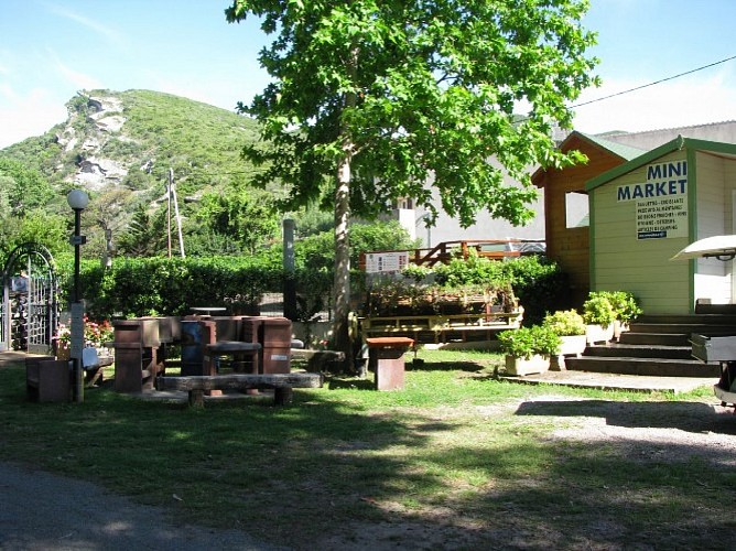barbecues