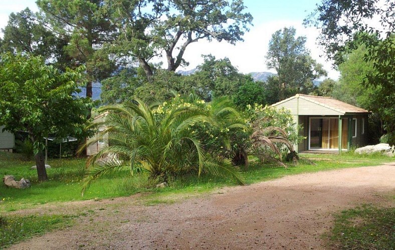 La Matonara