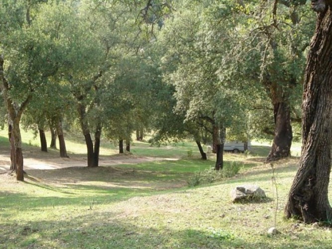 DOMAINE-KIESALE-ABBATUCCI-CASALABRIVA-CORSE-DU-SUD-6