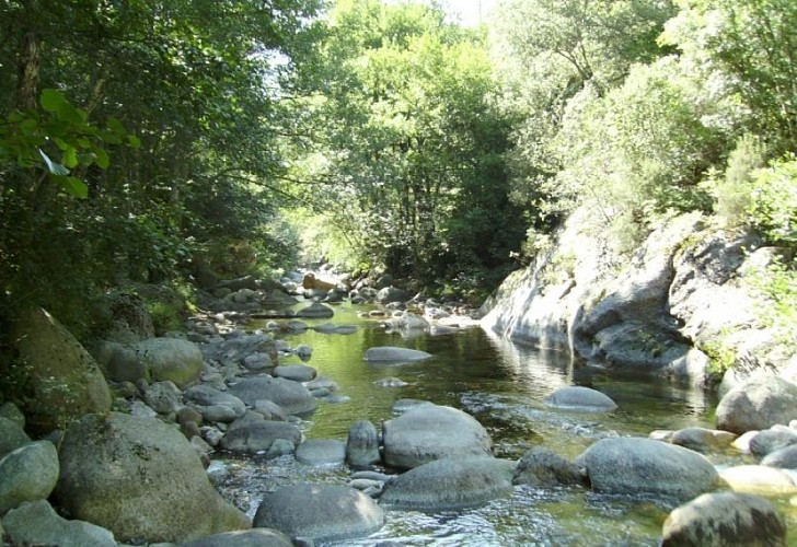 LA RIVIERE