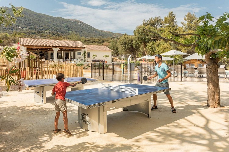 lacasaping-pong