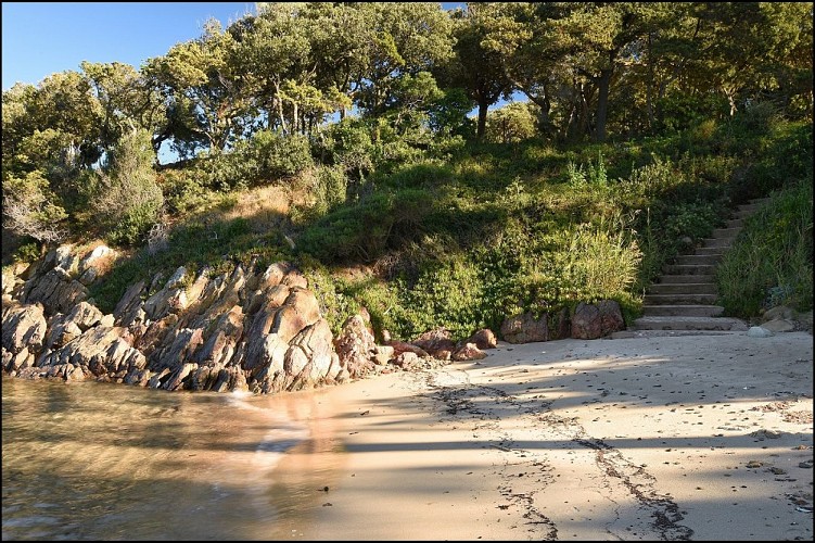 CAMP-Le-Fautea-2021-photo-bandeau-01 (1)