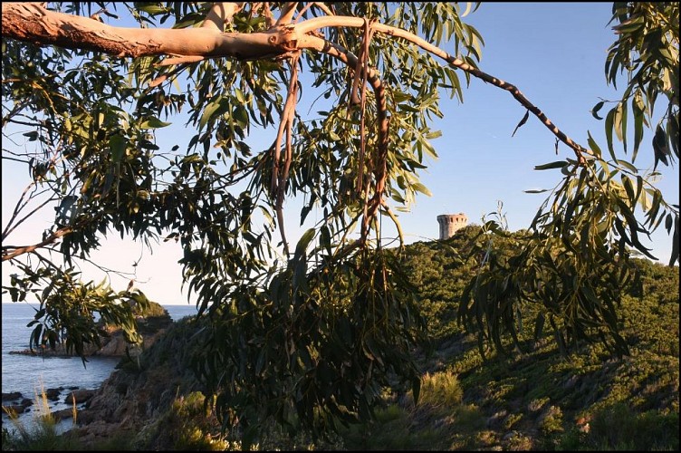 CAMP-Le-Fautea-2021-05