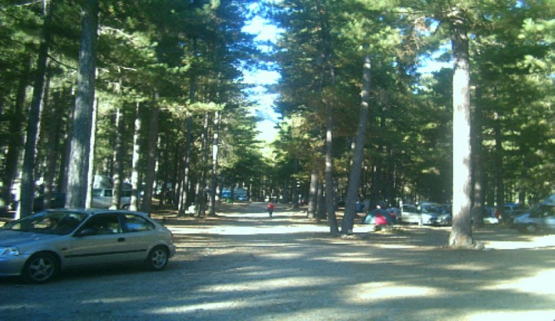 MONTE-CINTO-2