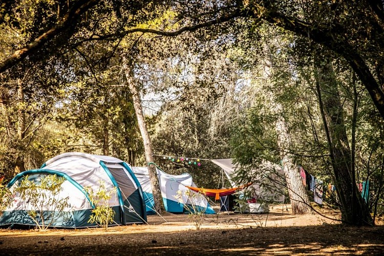 CAMPING-OLVA-118-min