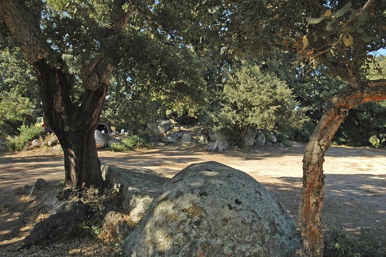 jardin du camping Pezza Cardo