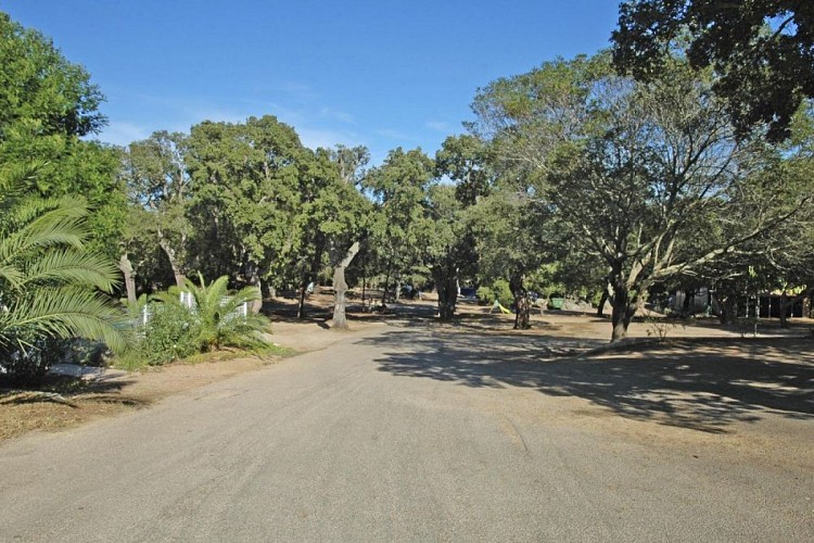jardin du camping Pezza Cardo