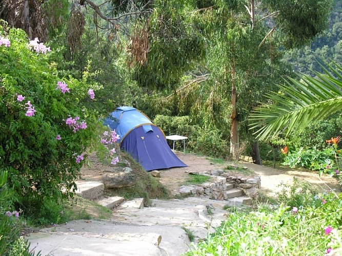 Emplacement tente