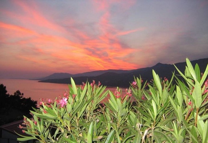 TIKITI