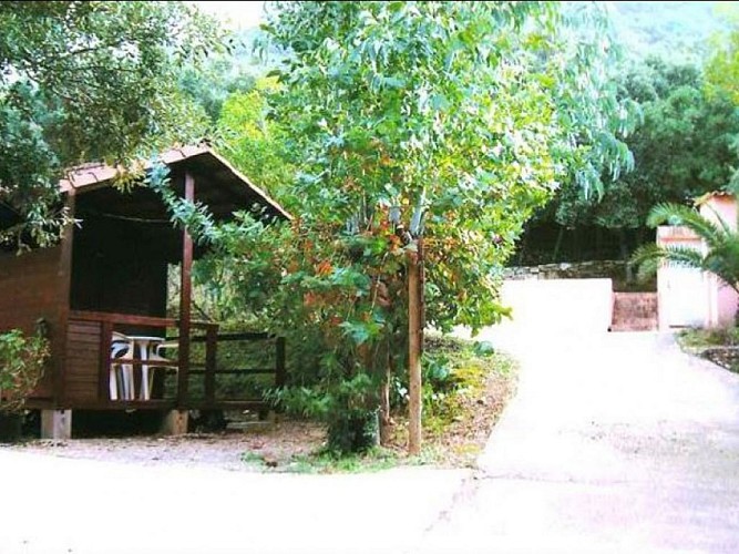 A-STELLA-1-2