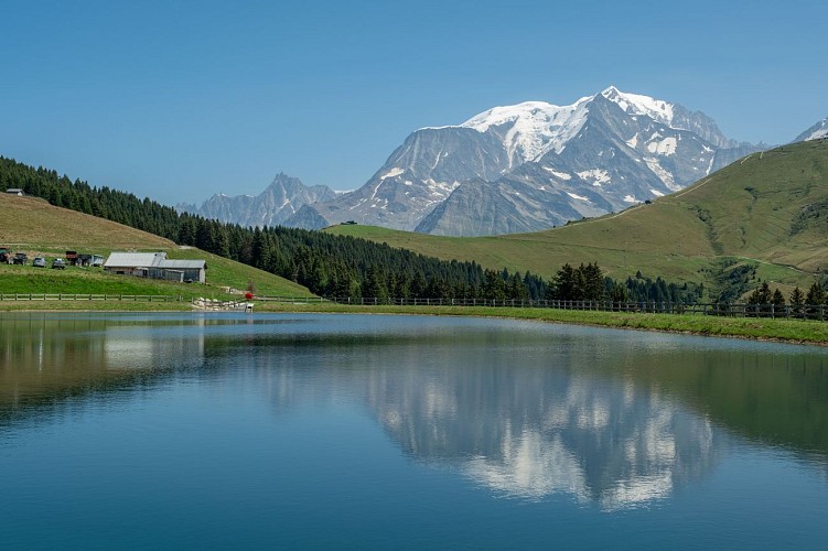 Alpage de Joux