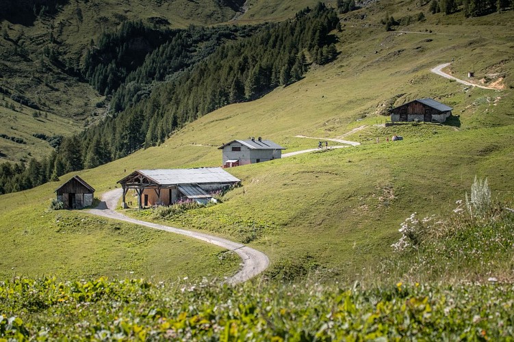 La Plagne Montalbert