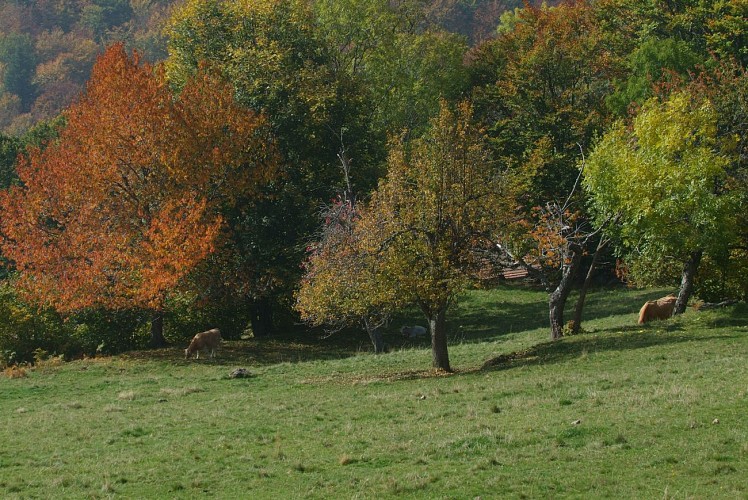 image du object