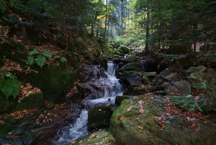 Parc Naturel Régional du Pilat