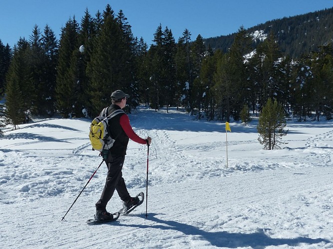 Plateau des Glières
