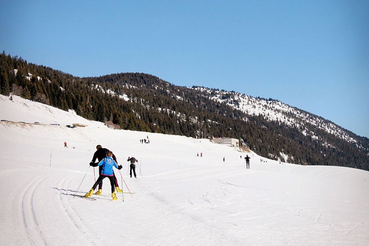Plateau des Glières