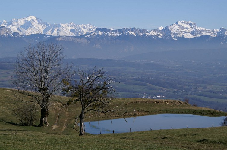 Haut-Rhône Tourisme