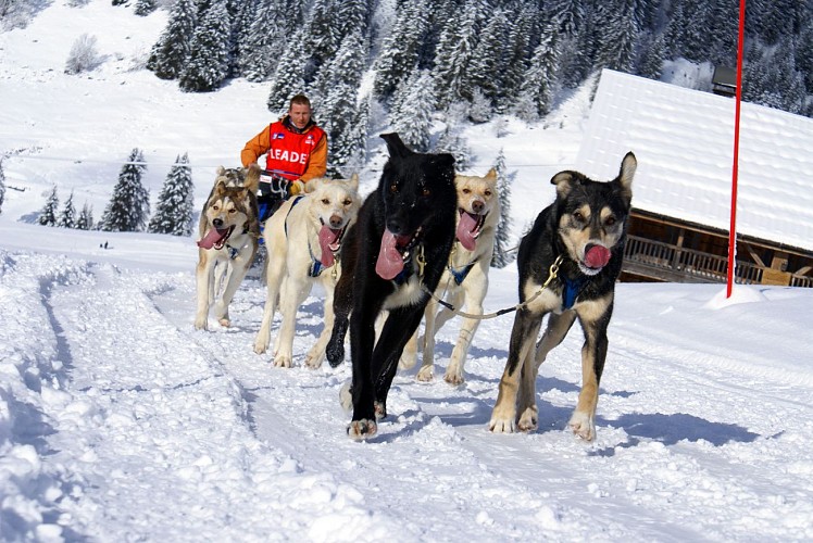 Praz de Lys Sommand Taninges et Mieussy