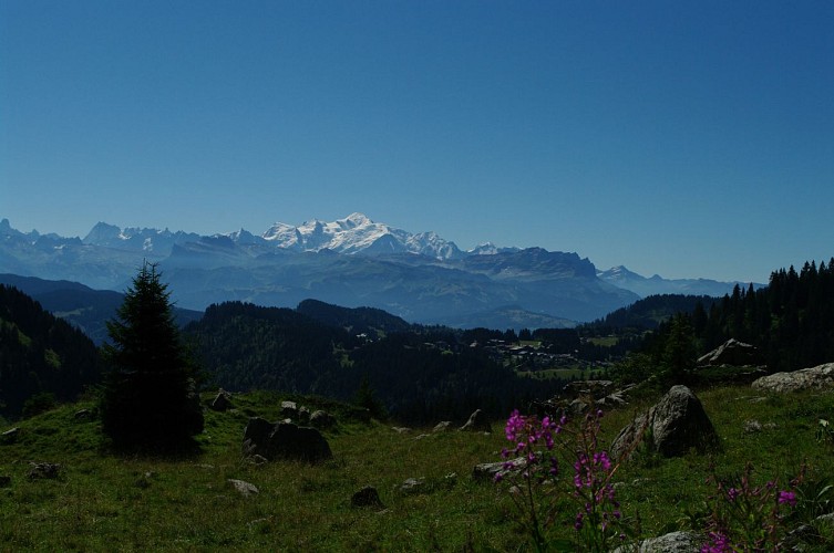 Praz de Lys Sommand Taninges et Mieussy