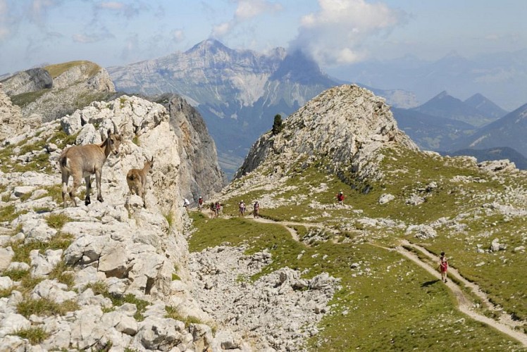 Parc Naturel Régional du Vercors
