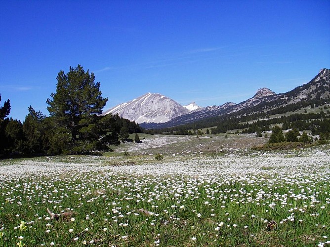 Parc Naturel Régional du Vercors