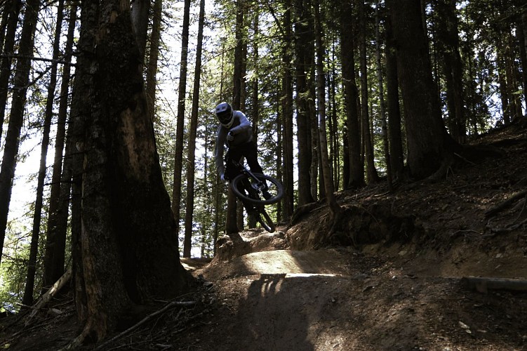 Morzine