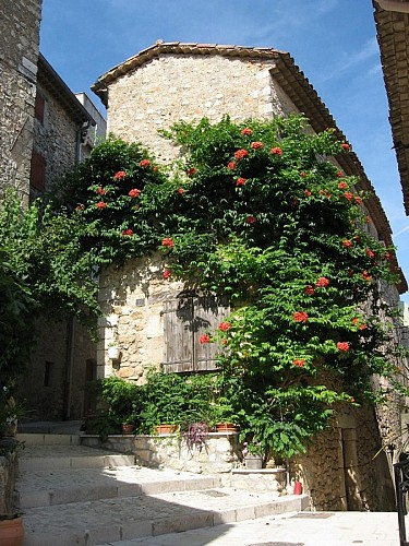 Artignosc-sur-Verdon