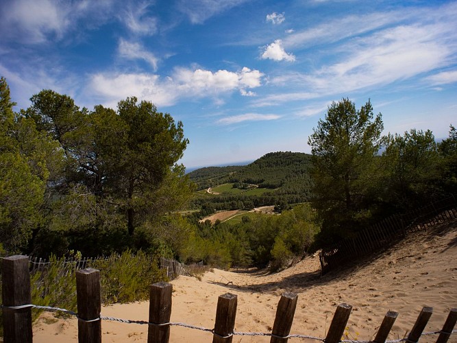 The sand hill