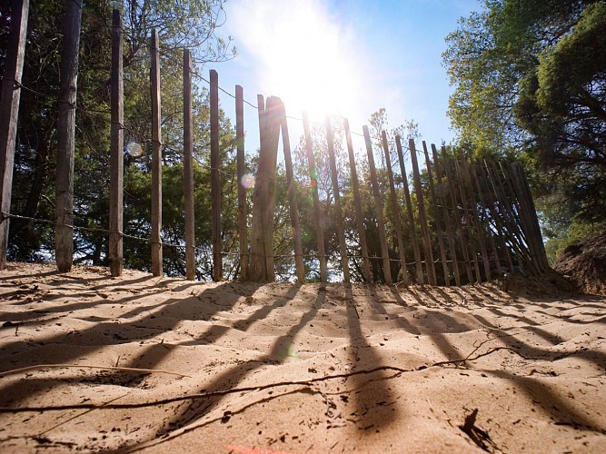 La colline de sable