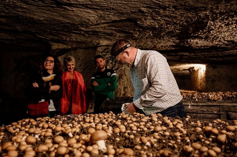 Experience_Normande__visite_champignonniere_Orbec_-_Marie-Anais_Thierry-Marie-Anais_Thierry-1600px4