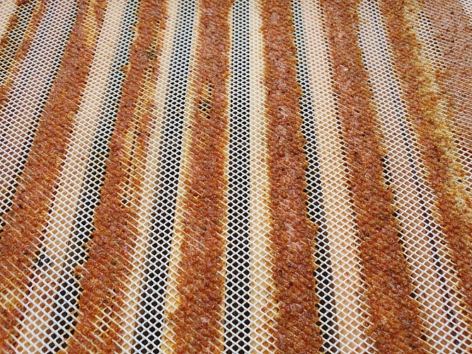 propolis-grille