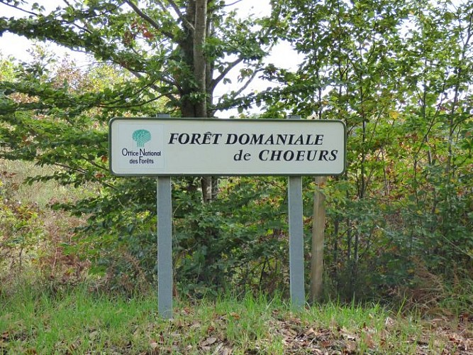 FORET CHOEURS BOMMIERS 2
