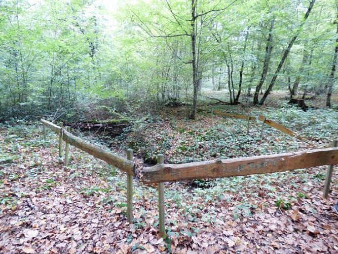 FORET CHOEURS BOMMIERS 4
