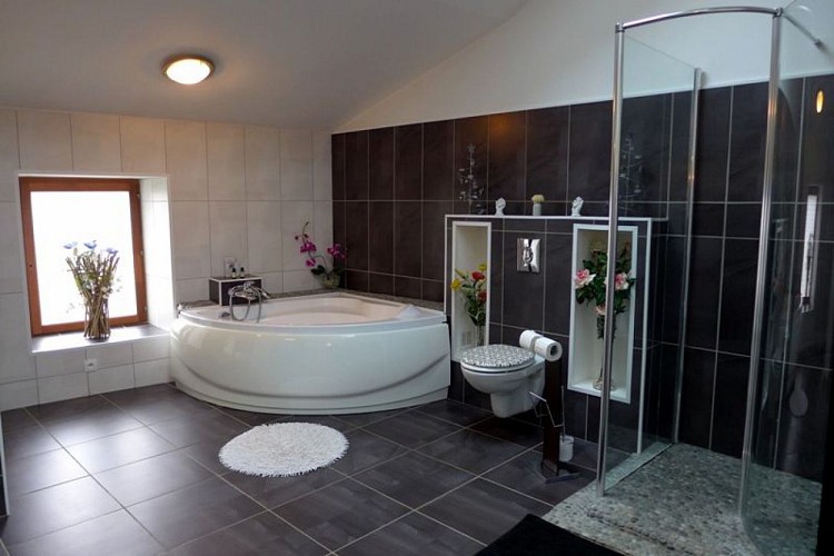 chambre hote haute marne is en bassigny 52g578 salle de bain.