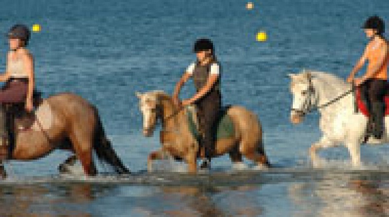 Centre Equestre  Baulois