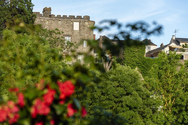 Château et ville fortifiée de Foulques Nerra