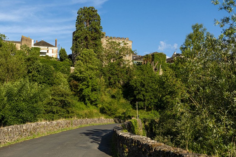 Château et ville fortifiée de Foulques Nerra