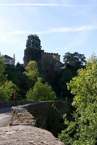 Château et ville fortifiée de Foulques Nerra
