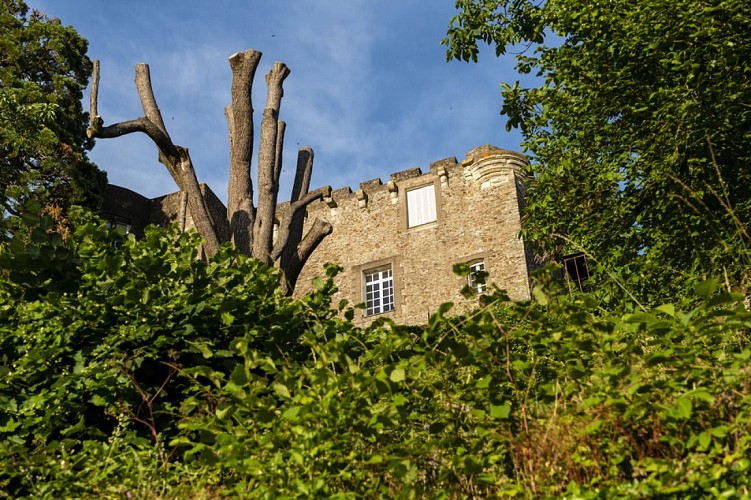 Château et ville fortifiée de Foulques Nerra