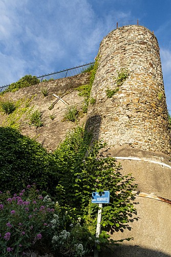 Château et ville fortifiée de Foulques Nerra